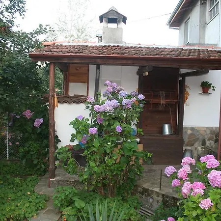 招待所 Todorova House
